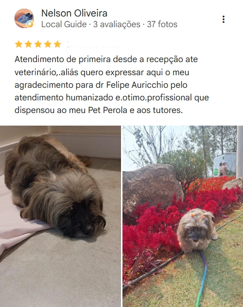 Avaliação real de tutor no Google