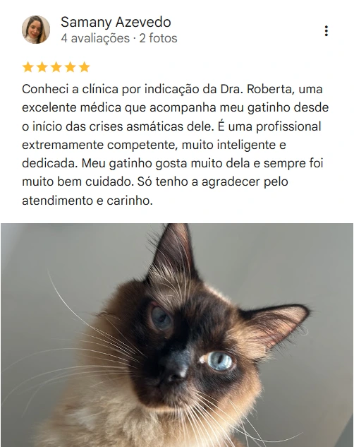 Avaliação real de tutor no Google