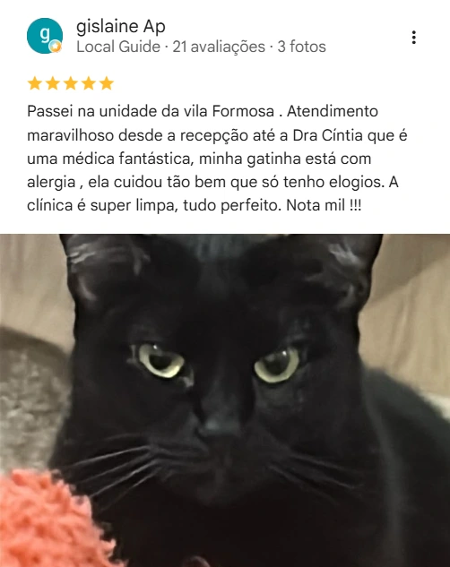 Avaliação real de tutor no Google