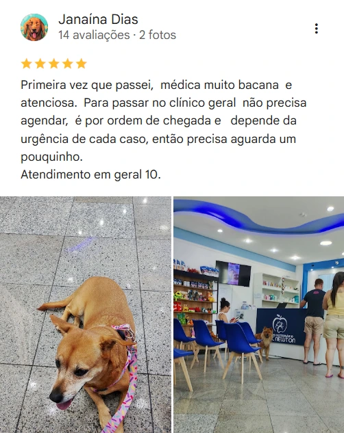 Avaliação real de tutor no Google