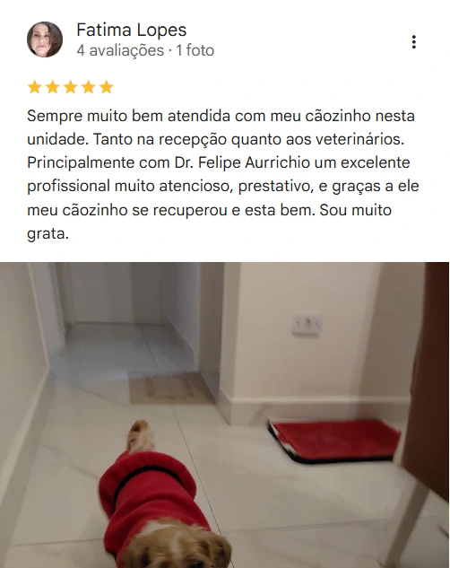 Avaliação real de tutor no Google